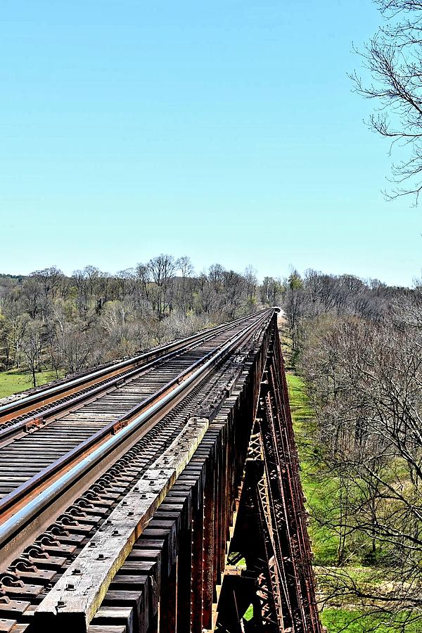 Tulip Trestle Photograph By Amber Black - Fine Art America