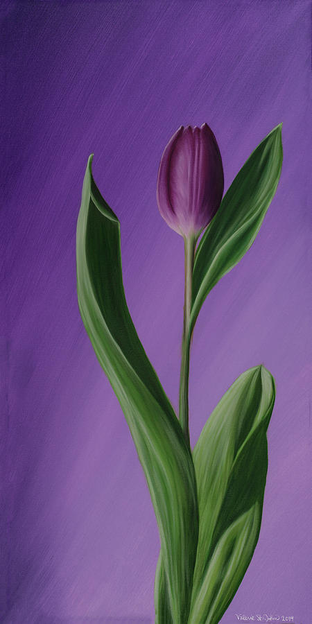 Tulip Painting by Valerie St John