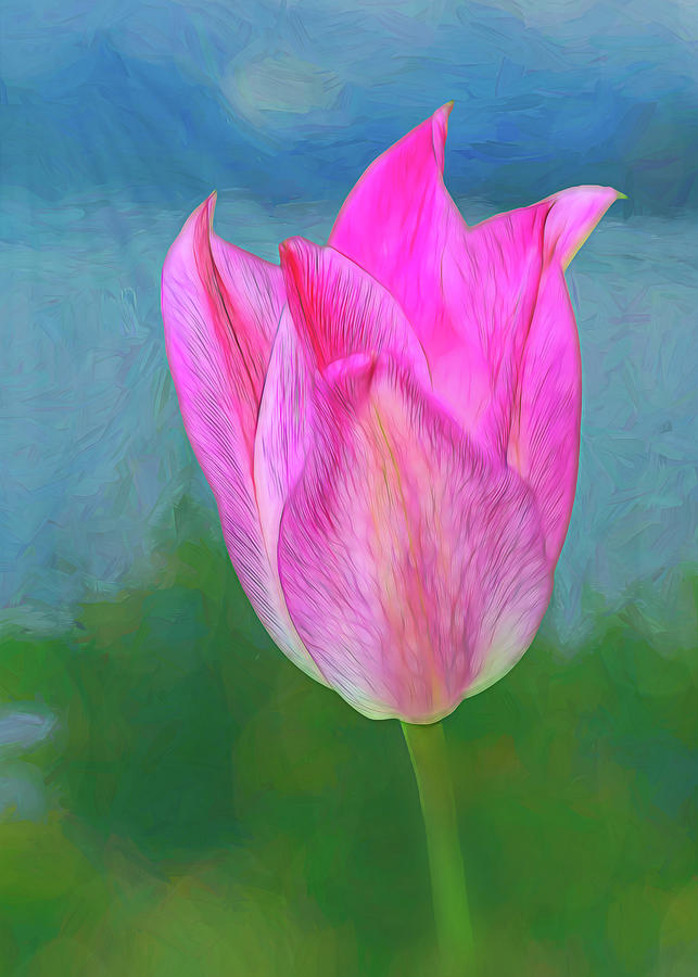 Tulip with pastel textured background Photograph by Sue Leonard