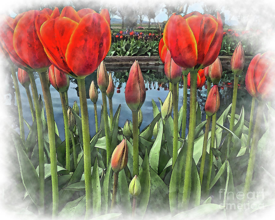 Tulips Around The Pond Digital Art by Kirt Tisdale