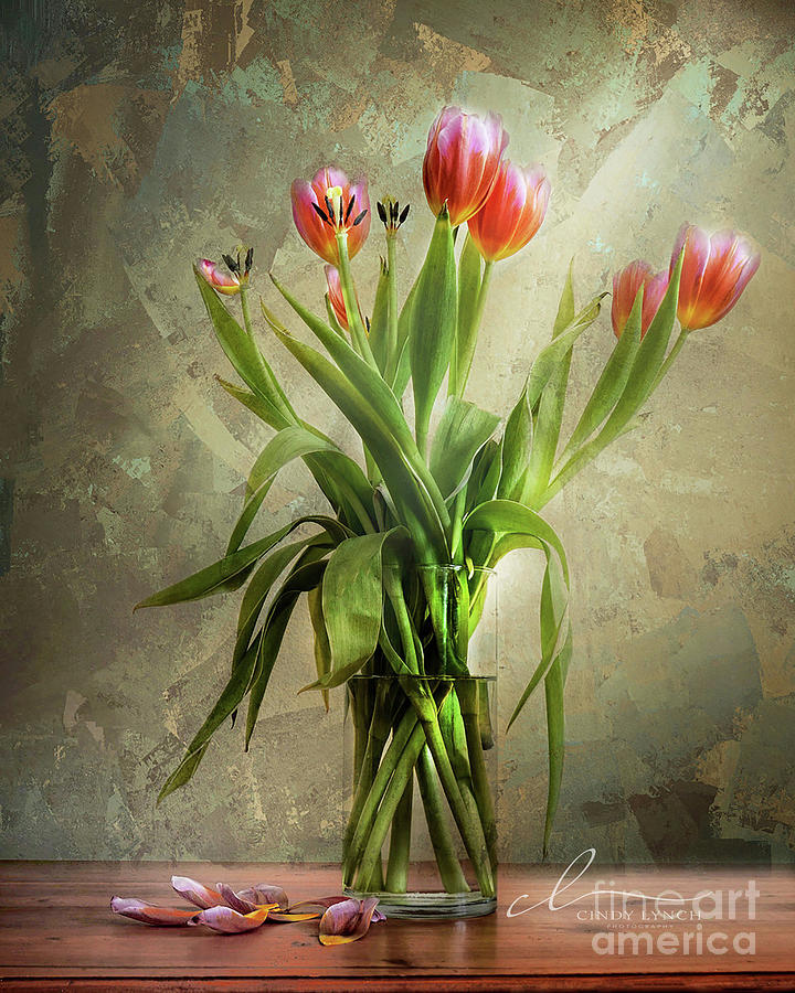 Tulips by the Window Photograph by Cindy Lynch Fine Art America