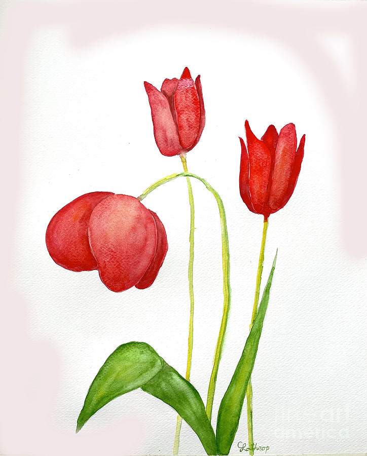 Tulips Painting by Christine Lathrop