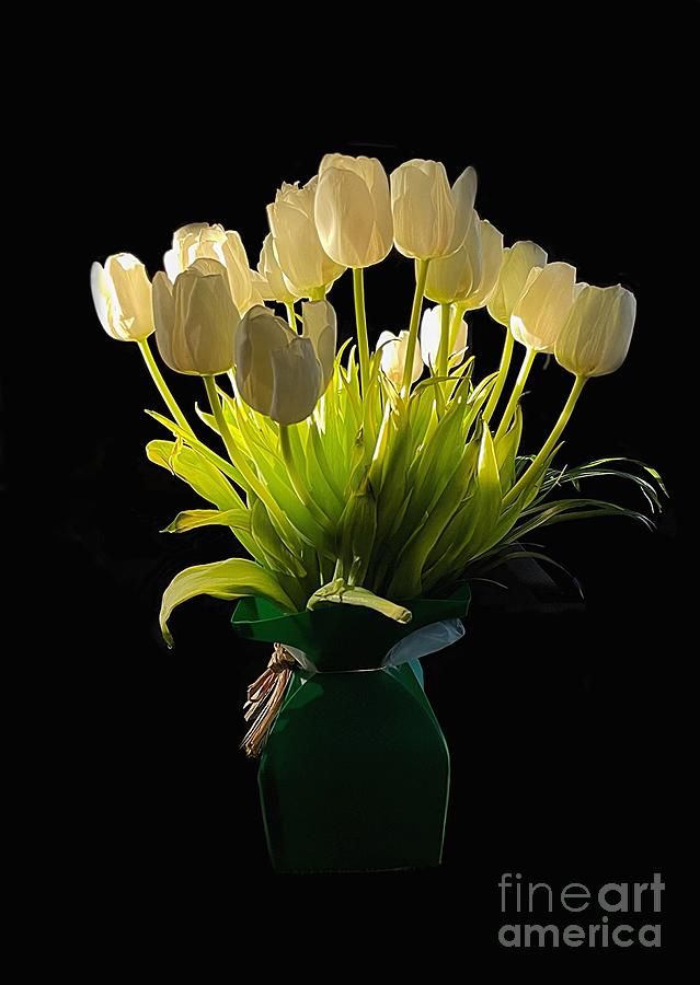 Tulips Photograph by Diana Rajala