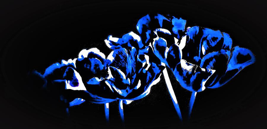Tulip Photograph - Tulips Feeling Blue by Elizabeth Pennington