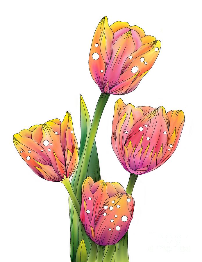 Easy sketch art of tulip flowers bouquet, floral line art hand drawn  illustration, Eustoma flowers drawing coloring page, and book isolated  image clip art botanic collection. 18753747 Vector Art at Vecteezy