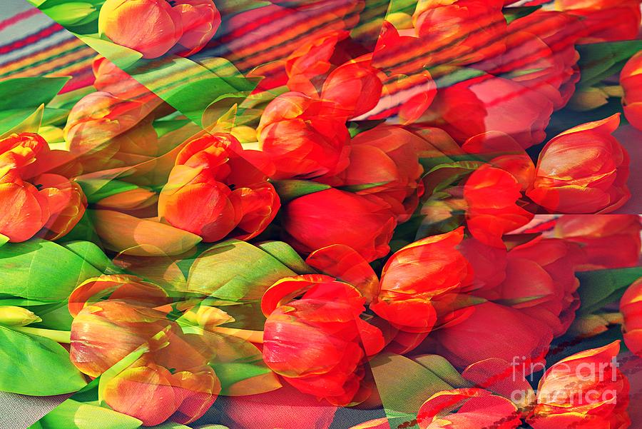Red Tulips Illusion Photograph by Amalia Suruceanu