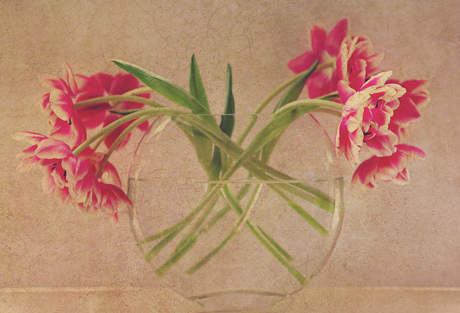 Tulips in a Round Vase Photograph by Rebecca Cozart