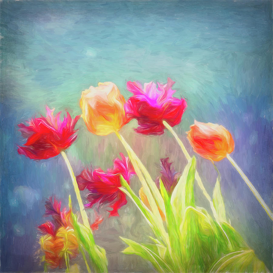 Tulips in abstract Photograph by Sue Leonard