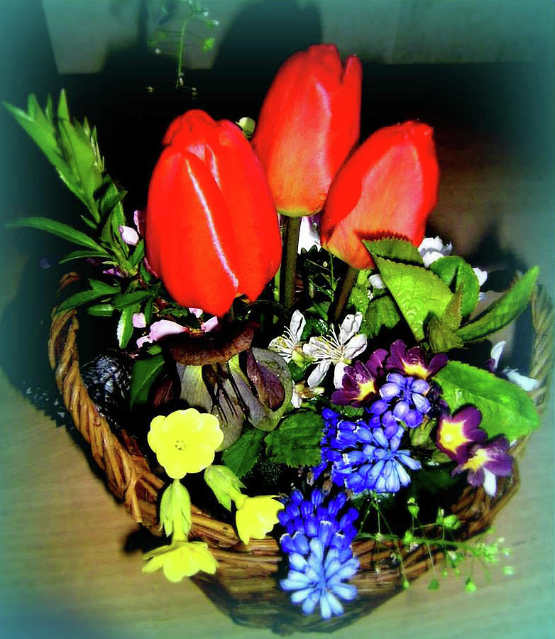 Tulips in basket  Photograph by Nadia Birru