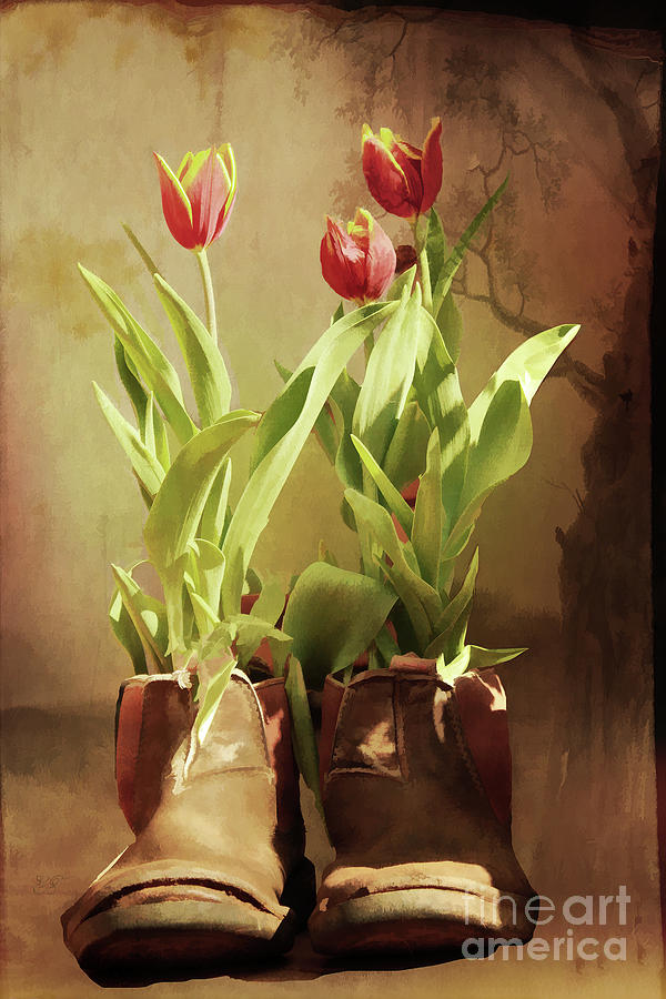 Tulips in Boots Photograph by Elaine Teague