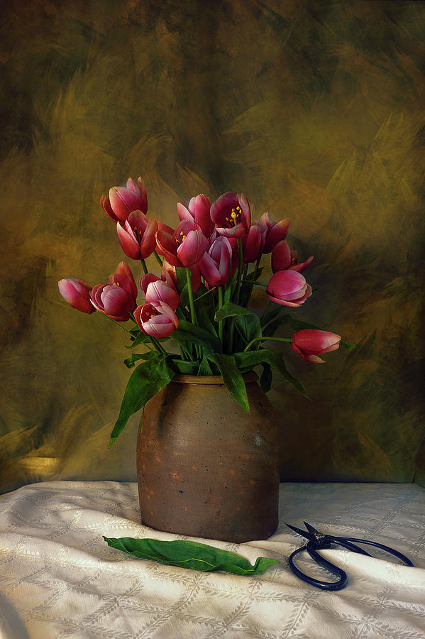 Tulips Photograph by John Rivera