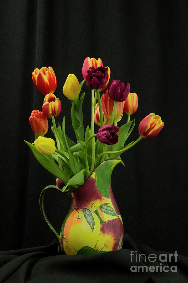 Tulips n Apples Photograph by Louise Magno