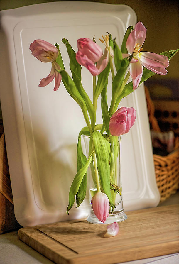 Tulips On A Cutting Board In the Kitchen Photograph by Cordia Murphy
