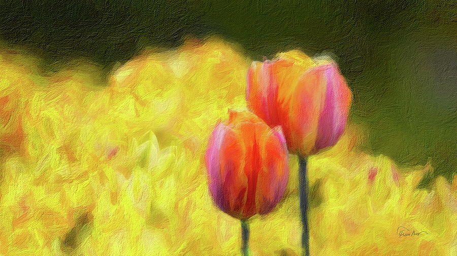 Tulips Digital Art by Russ Harris