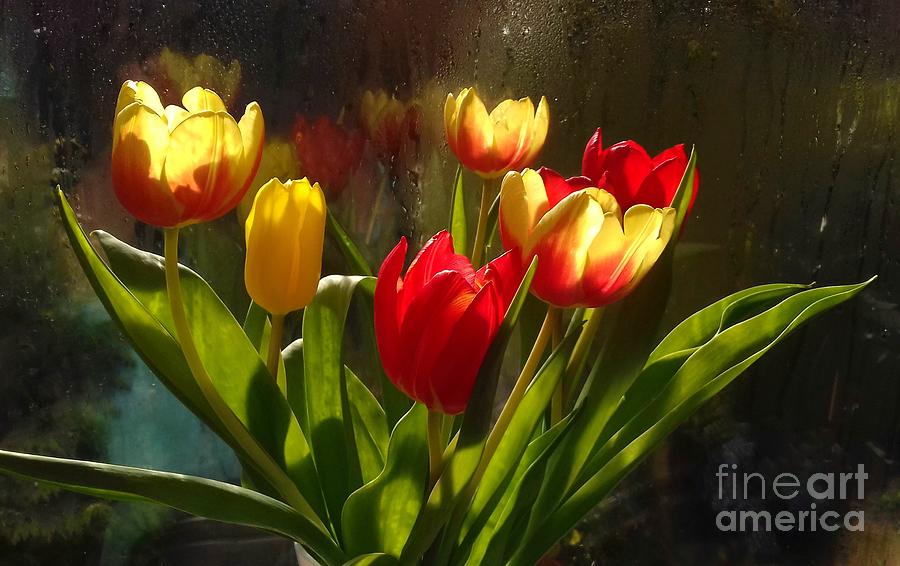 Tulips Spray Photograph by Joan-Violet Stretch