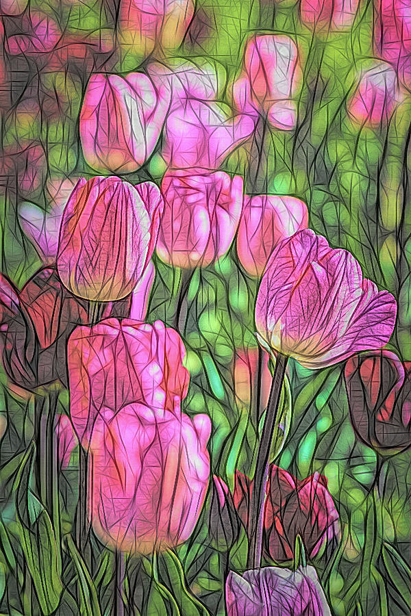 Tulips Study 1 Photograph by W Chris Fooshee