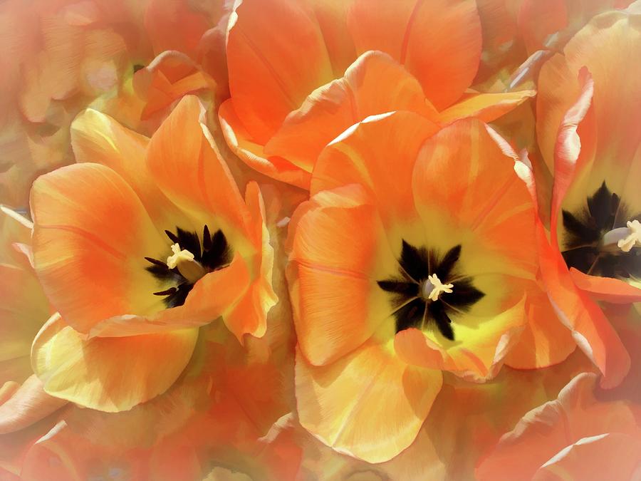 Tulips Together  Mixed Media by Lynda Lehmann