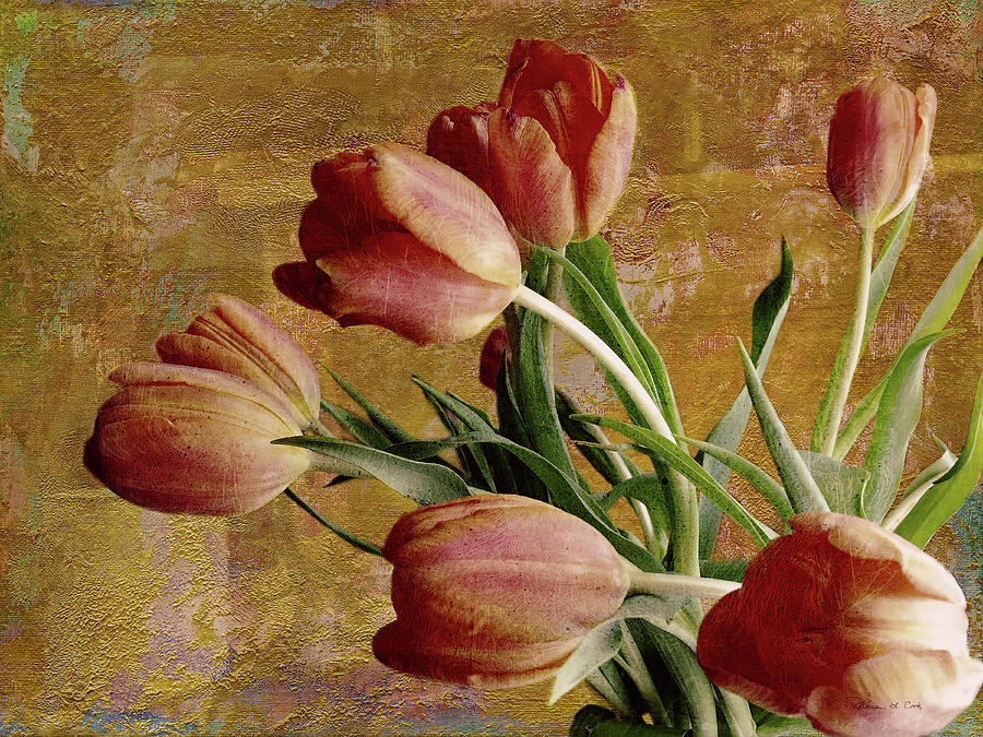 Tulips With Texture Photograph by Bellesouth Studio