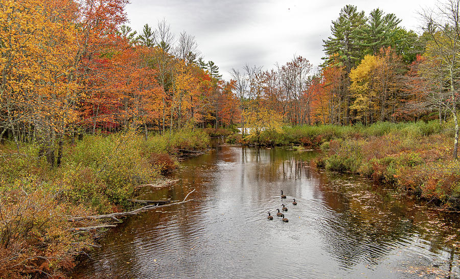 Tully River Royalston MA in Autumn 1 Photograph by Michael Saunders