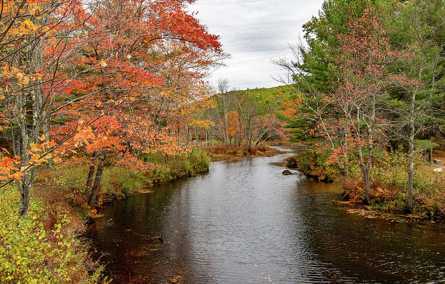 Tully River Royalston MA in Autumn 2 Photograph by Michael Saunders