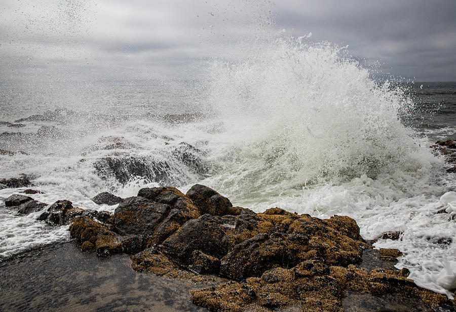 Tumultuous Waves Photograph by Gerri Bigler - Fine Art America