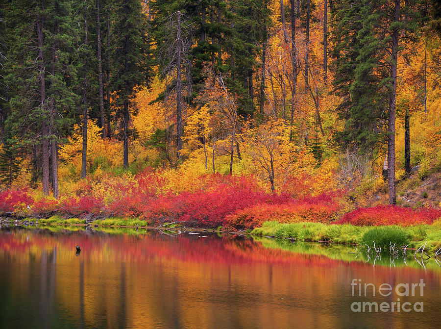 Tumwater Canyon Falls Fiery Colors Photograph by Mike Reid - Fine Art ...