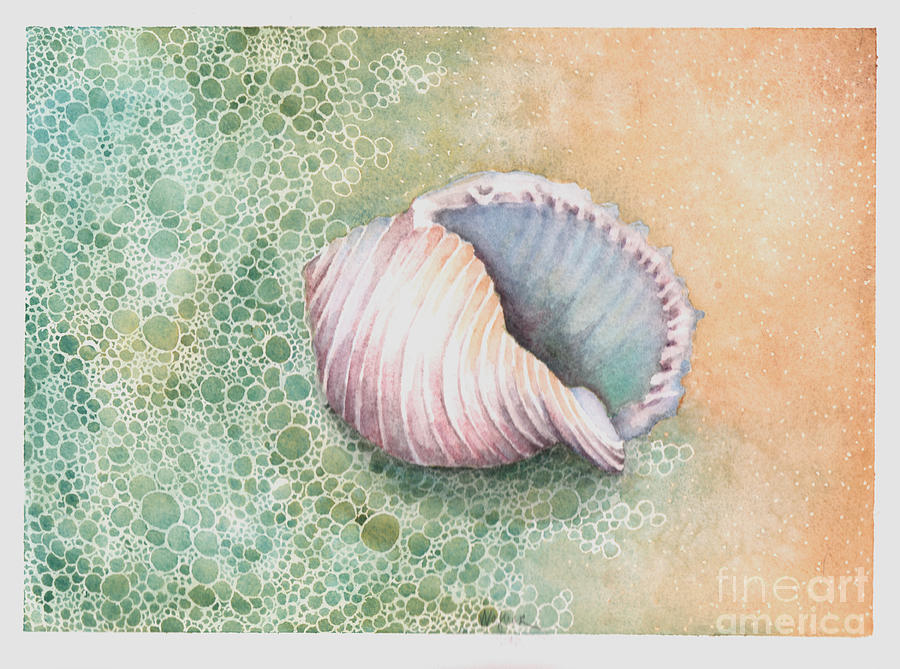 Tun Shell Painting by Hilda Wagner