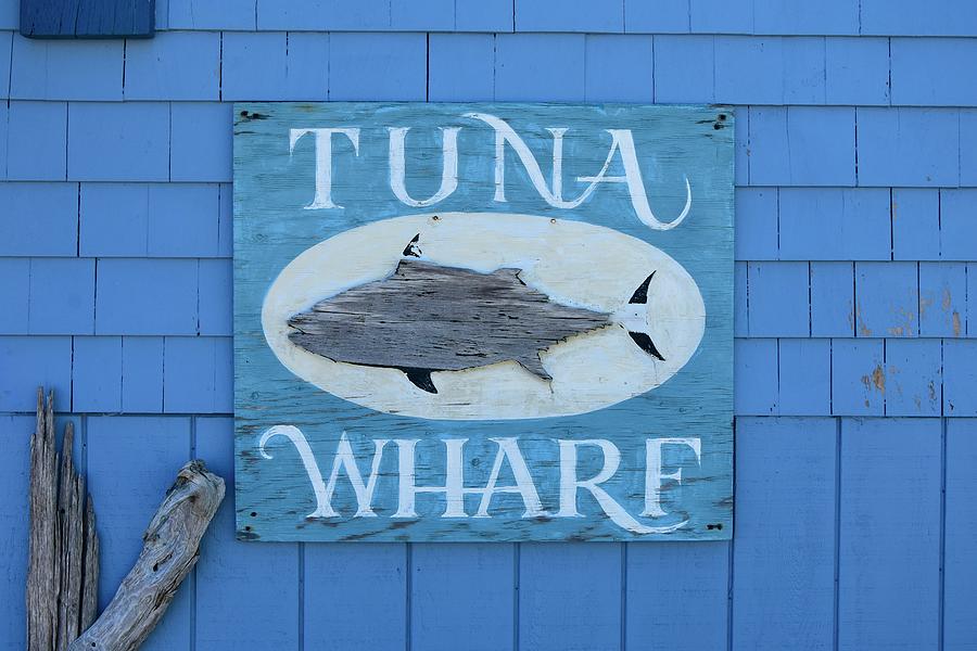 Tuna Wharf Photograph by Corinne Rhode