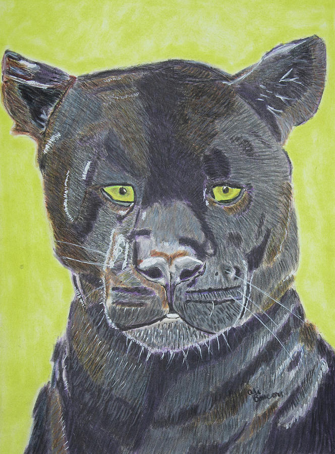 Tunder a Mixed Media Drawing of a Panther that is Black Drawing by Ali Baucom