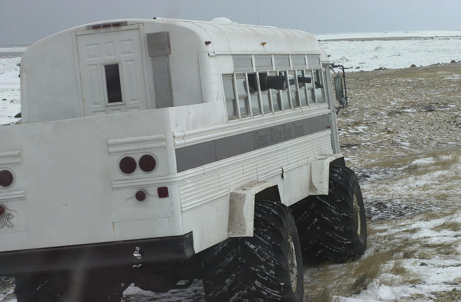 Tundra Buggy at Churchill Manitoba Photograph by Fotosearch
