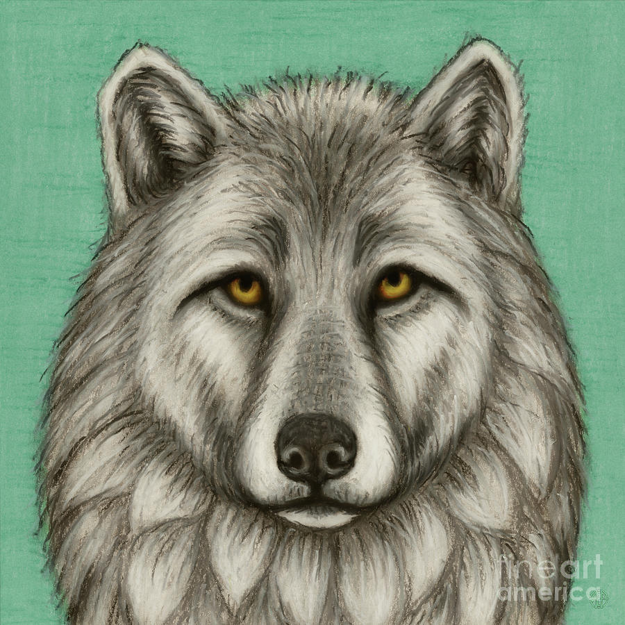 Tundra Wolf   Painting by Amy E Fraser
