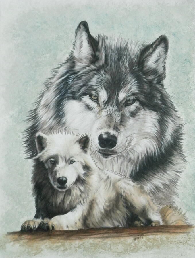 Tundra Wolf Mixed Media by Barbara Keith