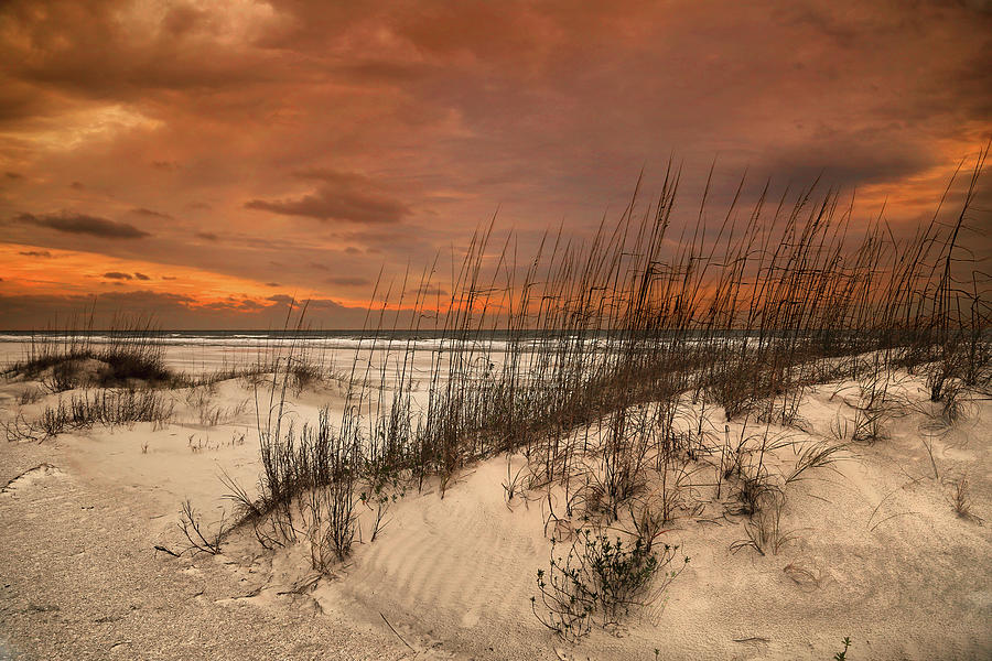 Tungsten Sunrise Photograph by Gary Yost