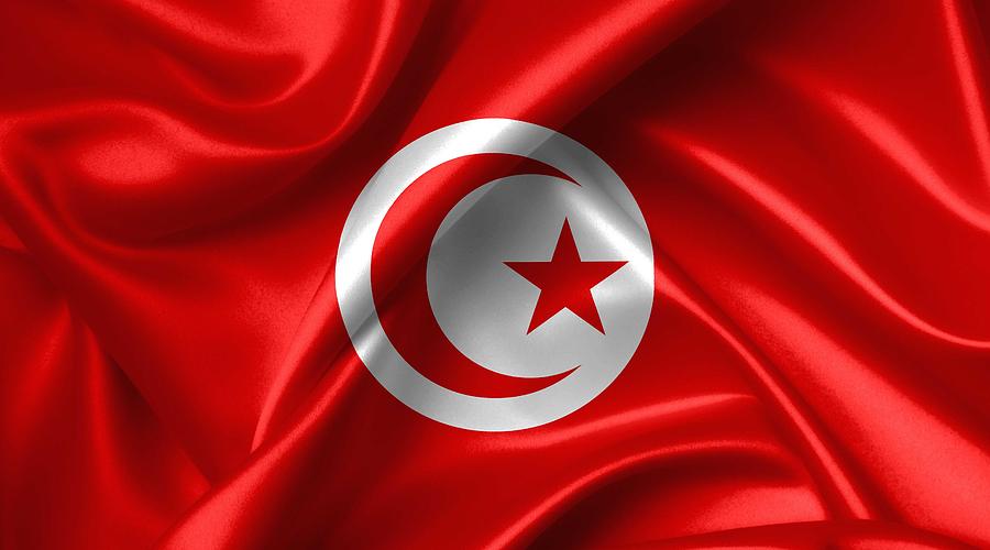 Details about  / Tunisia flag Keyring acrilic Souvenir 35x58mm