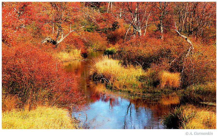Tunkhannok Creek, Fall, Pennsylvania Photograph by A Macarthur Gurmankin