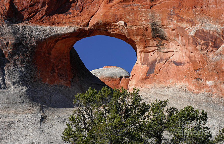 Tunnel Arch in Arches National Park Photograph by Bob Phillips