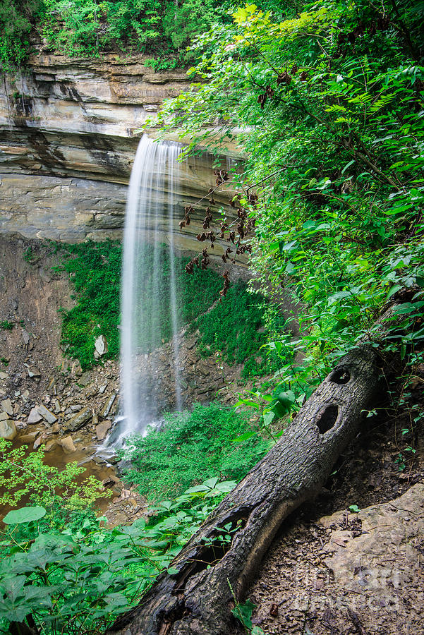 Madison Photograph - Tunnel Falls - Clifty Falls State Park - Indiana by Gary Whitton
