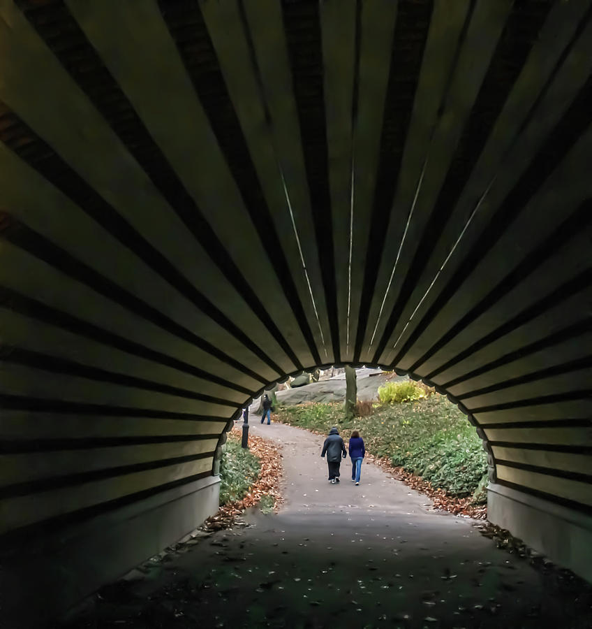 Tunnel In Central Park Photograph