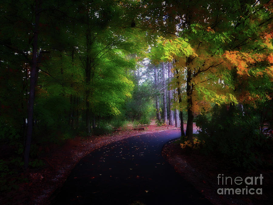 Tunnel Of Color Photograph by AnnMarie Parson-McNamara