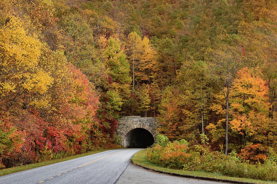Tunnel of Fall on the Blue Ridge Parkway Photograph by Joni Eskridge