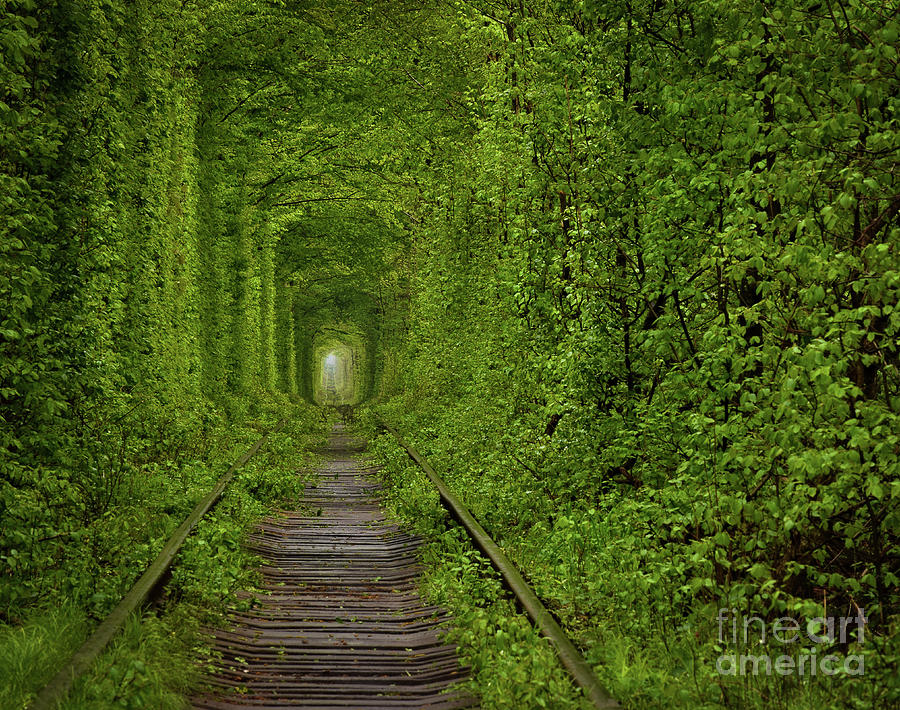 Tunnel of Love Photograph by Steven Liveoak