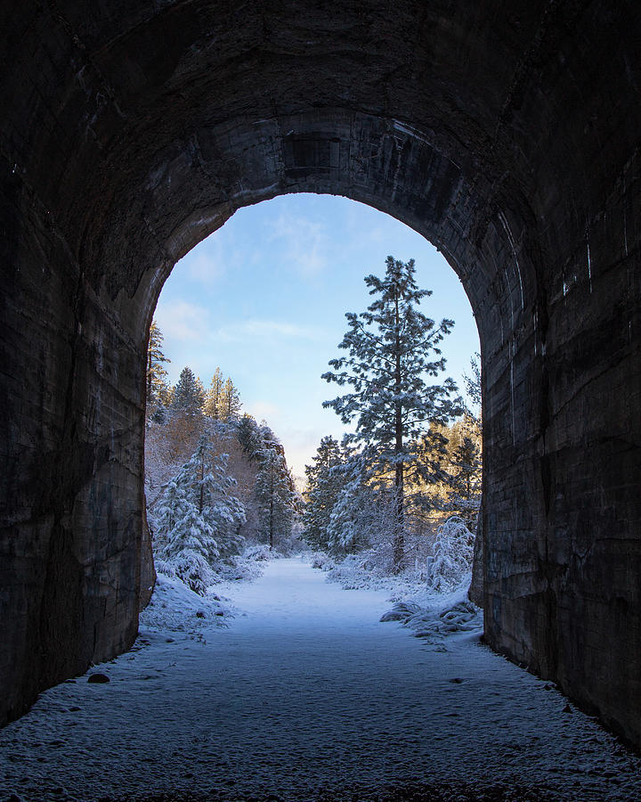 Tunnel to Wonderland Photograph by Mike Lee