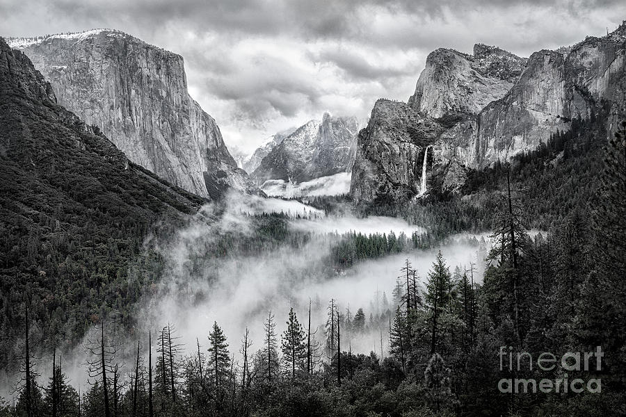 Tunnel View BW Photograph by Alice Cahill