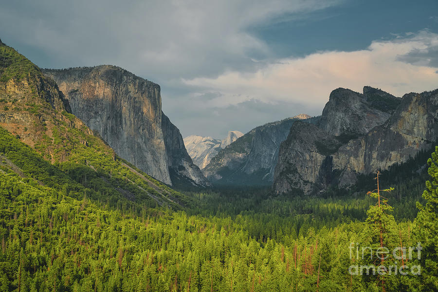 Tunnel View, Yosemite National Park Photograph by Abigail Diane Photography