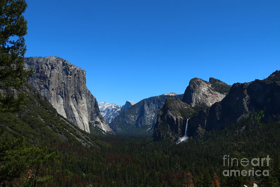 Tunnel View Yosemite National Park Photograph by Christiane Schulze Art And Photography
