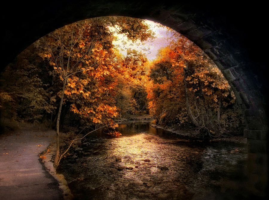 Tunnel Vision Photograph by Jessica Jenney
