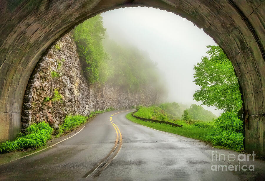 Tunnel Vision... Out of the darkness, into the mists Photograph by Shelia Hunt