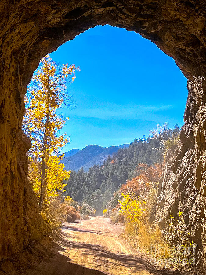 Fall Photograph - Tunnels of Gold Camp Road by Saving Memories By Making Memories