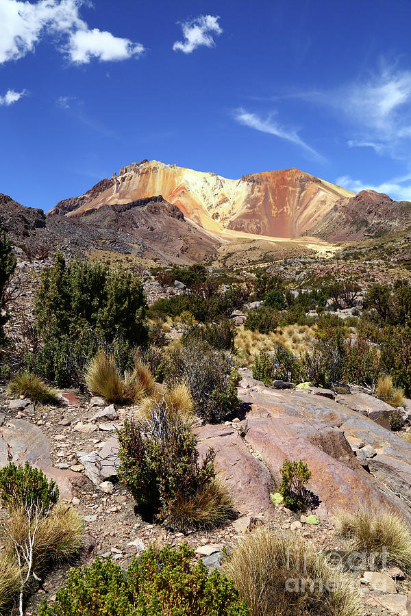 Tunupa volcano and Andean puna vegetation Bolivia Photograph by James Brunker