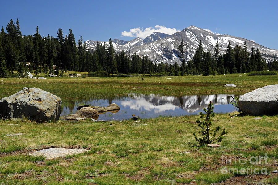 Tuolumne Meadows Photograph by Cindy Murphy